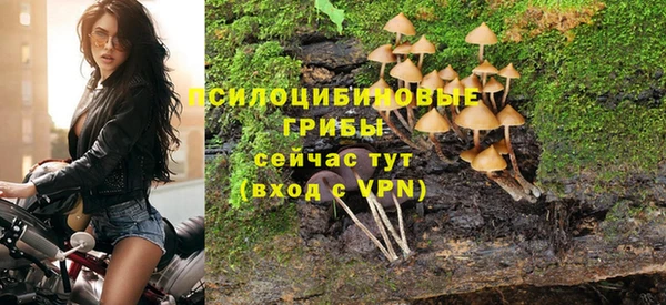марки nbome Алзамай
