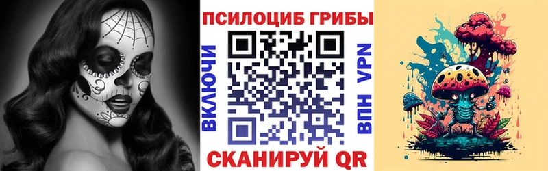 блэк спрут зеркало  Юрьевец  Галлюциногенные грибы прущие грибы 